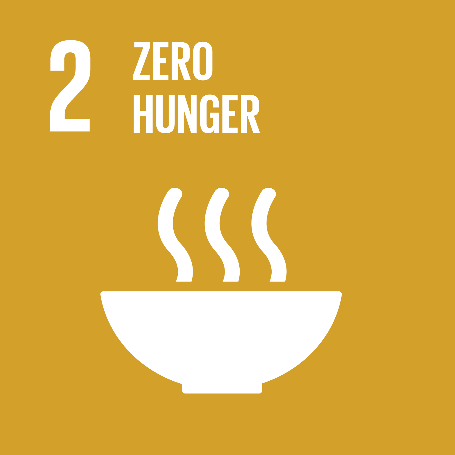 SDG icon 2