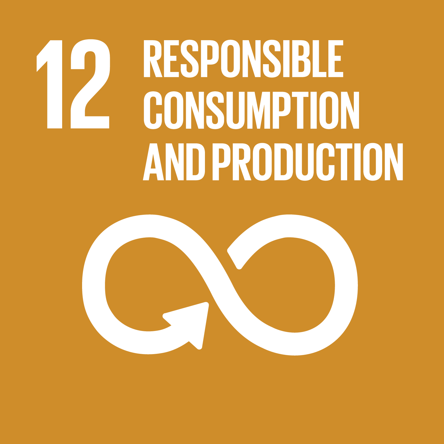 SDG icon 12